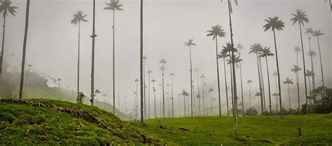 Colombia Travel Guide Two Wandering Soles