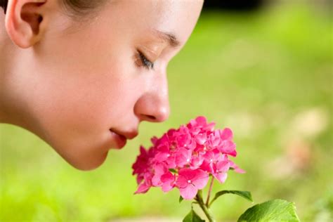 Human Nose Can Detect 1 Trillion Odours Nature News And Comment