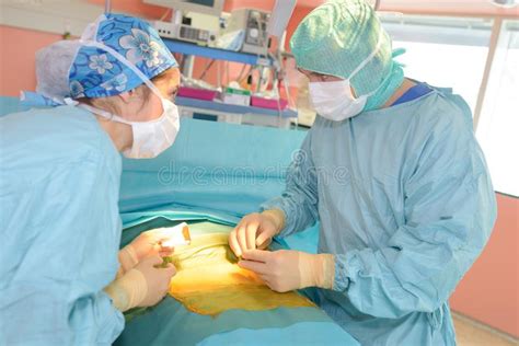 Surgeons Interacting With Each Other While Operation Stock Image