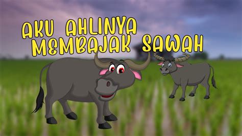 Kerbau Pembajak Sawah Yang Tangguh Youtube