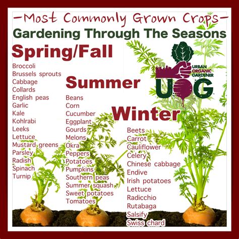 Most Commonly Grown Crops Gardening Through The Seasons Urban