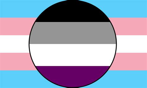 Transgender Asexual Combo By Pride Flags On Deviantart