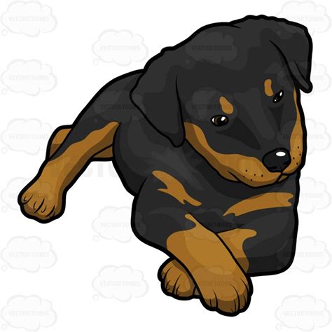 Rottweiler Clipart At Getdrawings Free Download