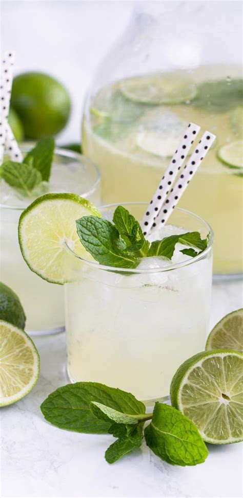 Easy recipe for vodka mint lemonade or limeade, this refreshing summer cocktail is made with limes or lemons, fresh mint, sugar or honey, water, ice and vodka to taste. Vodka Limeade Punch - Crazy for Crust | Recipe | Limeade ...