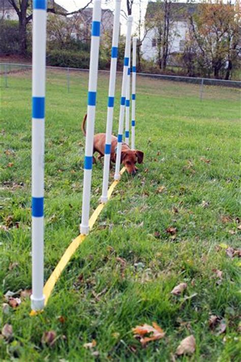 Diy dog obstacle course for under $100. 17 Best images about DIY Dog Agility Course on Pinterest ...