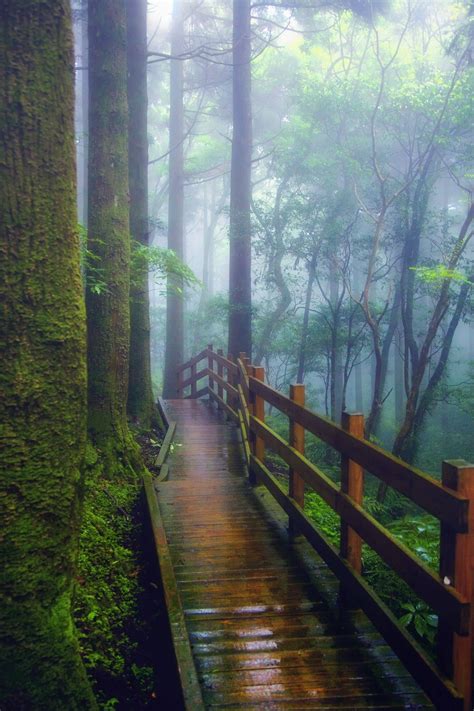 The Wet Wooden Path By Hanson Mao On 500px Wooden Path Beautiful