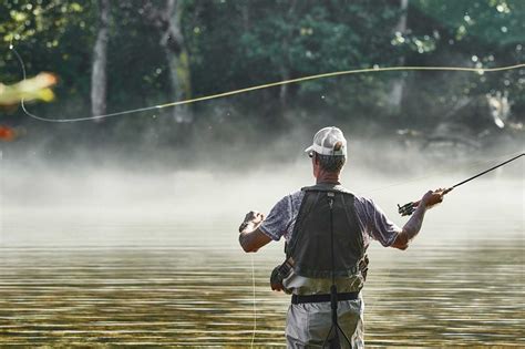 Bass Flies 21 Proven Fly Fishing Patterns That Catch Bass Guide