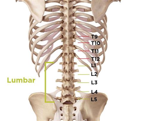 I want to put an iphone's frame image above the picture. Back Braces & Treatments for Spinal Stenosis | BraceAbility