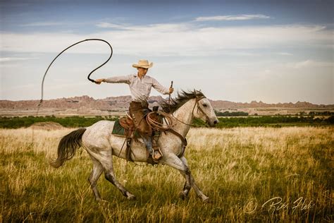 Cracking The Whip Horses Florida Cracker Horse Cowboy Art