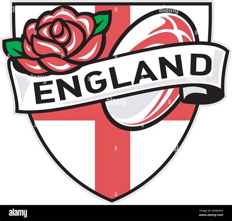 The Rose A Symbol Of England Stock Vector Images Alamy