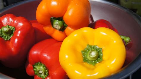 Check out our organic bell peppers selection for the very best in unique or custom, handmade pieces from our shops. Let's begin with local, organic sweet bell peppers ...