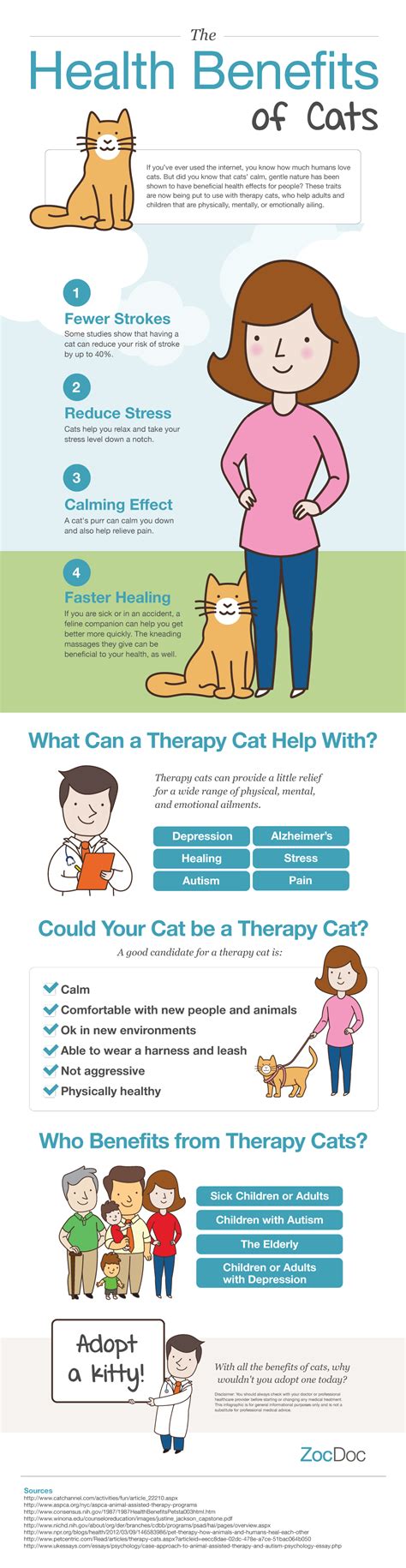 Cats Are Good For Your Health Cat Care Tips Pet Care Cat Infographic