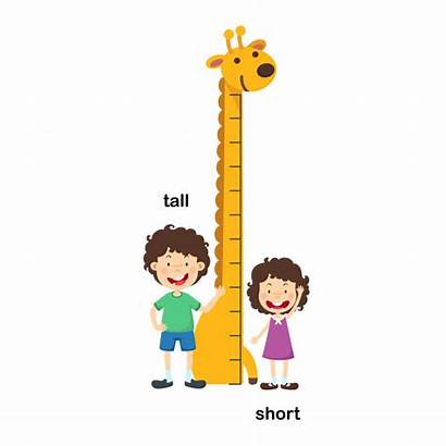 Tall Short Opposite Vector Illustration Clipart Kid