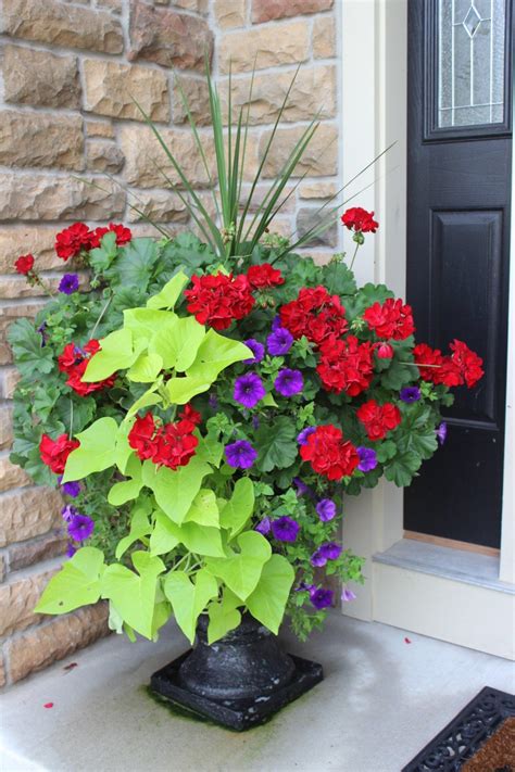 There are a lot of store bought versions of planters, but we recommend that you make tips: Over 10 beautiful container gardens | Container flowers ...