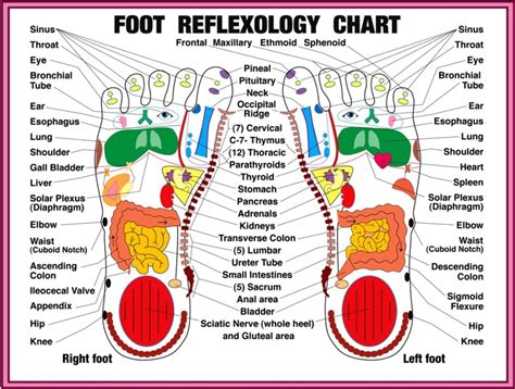 Ultimate Self Care Hidden Gem Foot Reflexology Experience At Lehua Spa