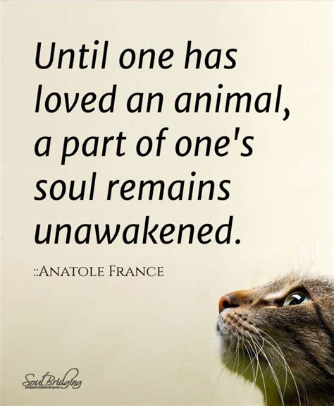 Until One Has Loved Animal Inspirational Spiritual Quotes Animal