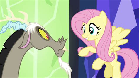 Discord My Little Pony Friendship Is Magic Images Fluttershy I Don T