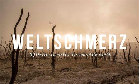 21 Inspiring German Words That Should Be In English