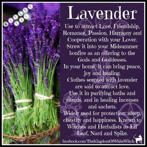 Carry the cloth with you until the wish manifests, then return it to the earth. Magical Uses For - Lavender | Witch herbs, Magic herbs ...