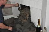 Pictures of Pest Removal From Chimney