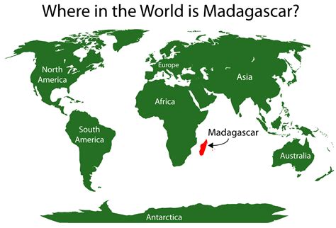 Episode 1 Field Guide Finding Fossils In Madagascar Past Time Paleo