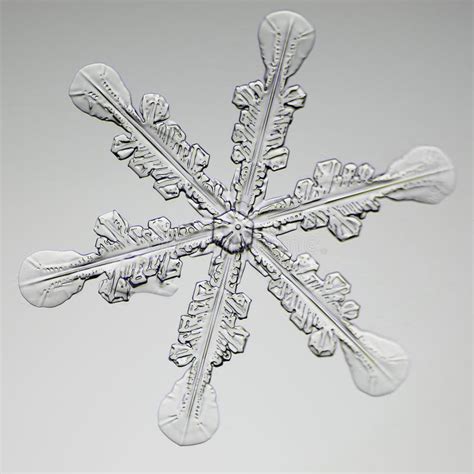Extreme Closeup Of Natural Snowflake Stock Image Image Of Crystalline