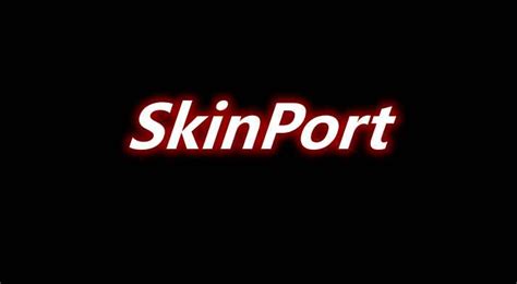 1710 Skinport Mod 哔哩哔哩