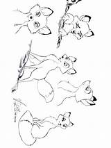 Fox Hound Coloring Printable Mycoloring Cartoon Colouring Recommended sketch template