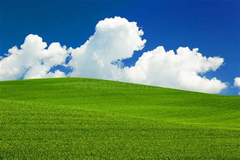 Green Meadow Of Rolling Hills Stock Image Image Of Grassland Natural