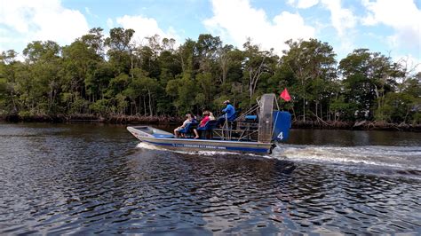 How To Gain Swamp Savvy A Thrilling Everglades Airboat Tour