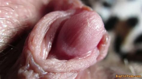 Pulsing Hard Clitoris In Extreme Close Up Eporner