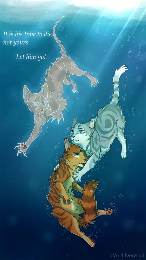 Jayfeather🕊flametail🔥and Rock🐾 Lgdc Illustrations Animalières