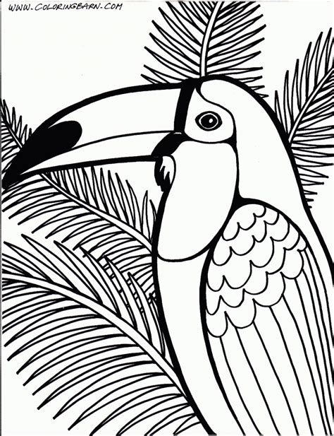 Rainforest Trees Coloring Pages Rainforest Trees Colouring Pages
