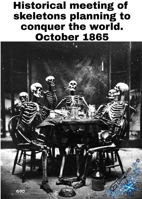120 Skeleton Memes Are Sure To Tickle Your Funny Bone Geeks On Coffee