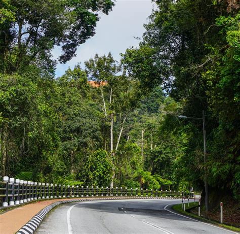 1223 Road Cameron Highlands Stock Photos Free And Royalty Free Stock