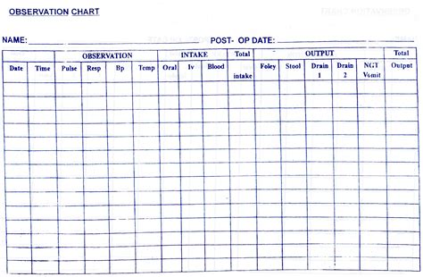 Observation Chart Printable Charts Signs And Skills Sheets Gambaran