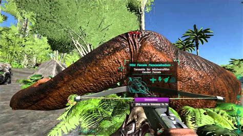 Ark Survival Evolved Tranquilizer Darts Vs Arrows Youtube