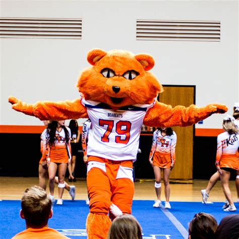 Mascot Squad Spirit Programs Sam Houston State University