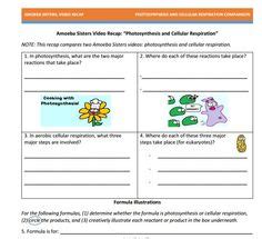 Amoeba sisters video recap introduction to cells answer. DNA vs. RNA + Protein synthesis handout made by the Amoeba Sisters. Click to visit website and ...