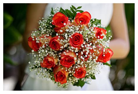 Don't forget to schedule your consultation today! Kaneohe Hawaii Wedding Photographer | Paradise Bay Resort ...
