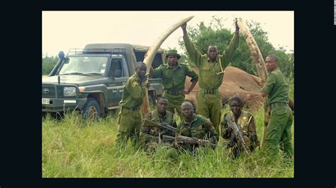 Poachers Kill Rare Giant Tusker Elephant In Kenya Cnn