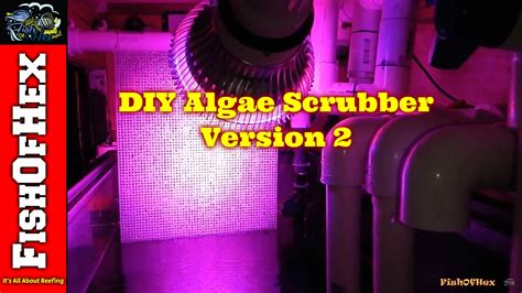 Tankbruh 573 views2 months ago. Adding DIY Algae Scrubber To 125 Gallon Reef | Version 2 - YouTube