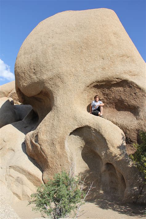 Skull Rock Joshua Tree National Park