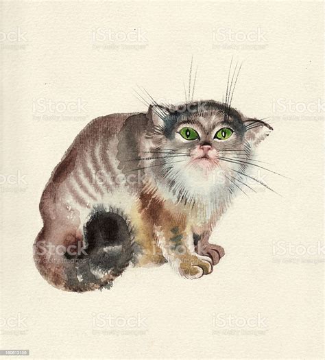 Watercolor Cat Stock Illustration Download Image Now Istock