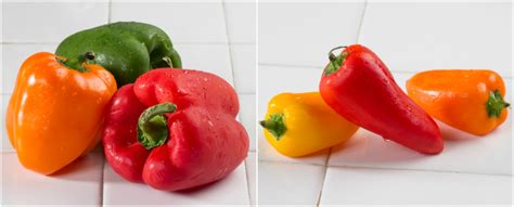 different types of peppers to spice things up mr food s blog