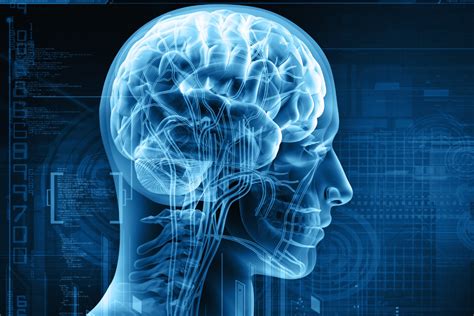 Neurological Disorders Signs Types Causes And Symptoms