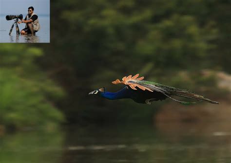 Wildlife Photography Course In India Inselmane