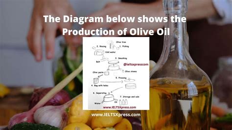 The Production Of Olive Oil Ielts Process Diagram