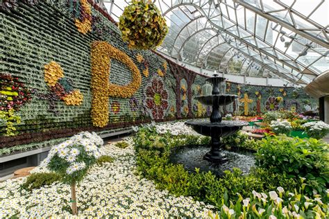 Best Time To See Royal Botanic Garden In Sydney 2024 Roveme