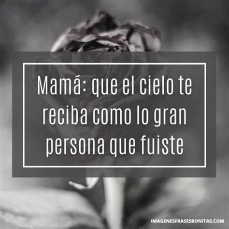 75 reflexiones dedicatorias y frases para una madre fallecida